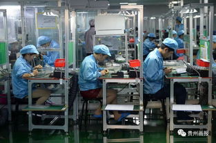 “三三服务”改革引领西秀产业园技术进出口呈现三大跨越